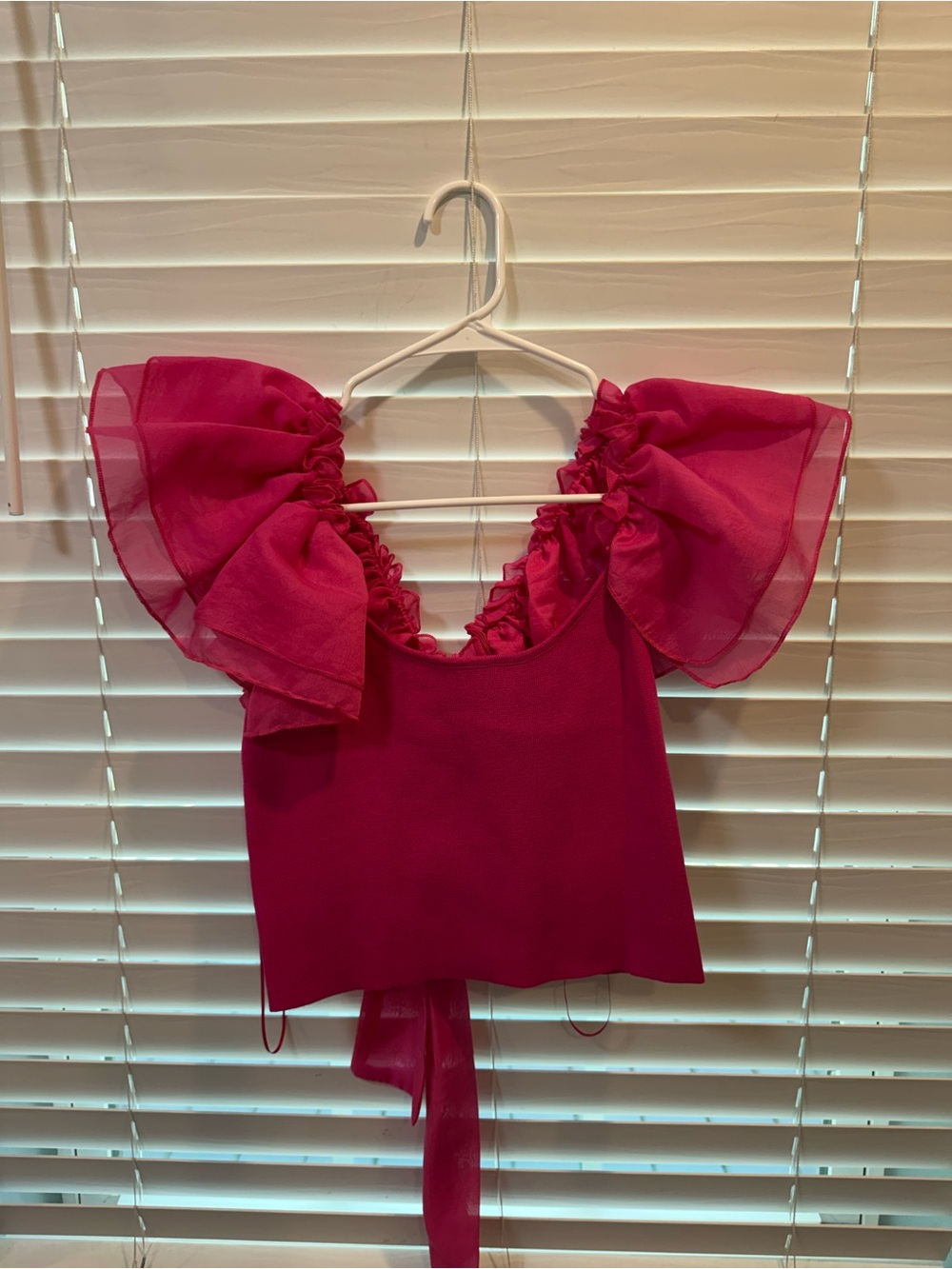Fuchsia Ruffle Sleeve Women's Top - Brand cloud ten